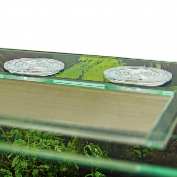 PLANTCUBE - Vivarium 60x30x30 Panorama Bundle